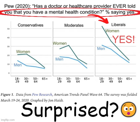 Probably much worse now.... | YES! 😯; Surprised? | image tagged in politics,liberals,women,liberals vs conservatives,men and women,difference between men and women | made w/ Imgflip meme maker