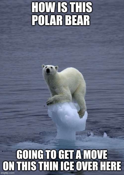 what would do to save a polar | HOW IS THIS POLAR BEAR; GOING TO GET A MOVE ON THIS THIN ICE OVER HERE | image tagged in thin ice,polar bear,memes,puzzle | made w/ Imgflip meme maker