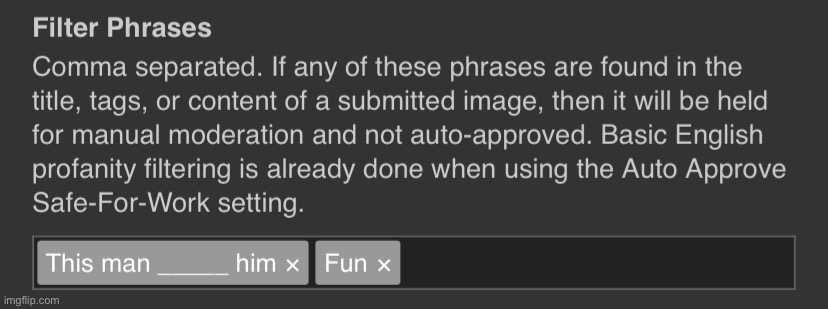 why is “fun” a nsfw phrase in msmg now | made w/ Imgflip meme maker