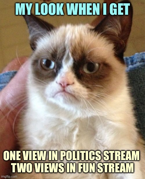 Grumpy Cat | MY LOOK WHEN I GET; ONE VIEW IN POLITICS STREAM 
TWO VIEWS IN FUN STREAM | image tagged in memes,grumpy cat | made w/ Imgflip meme maker