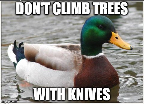 Actual Advice Mallard Meme | DON'T CLIMB TREES WITH KNIVES | image tagged in memes,actual advice mallard | made w/ Imgflip meme maker