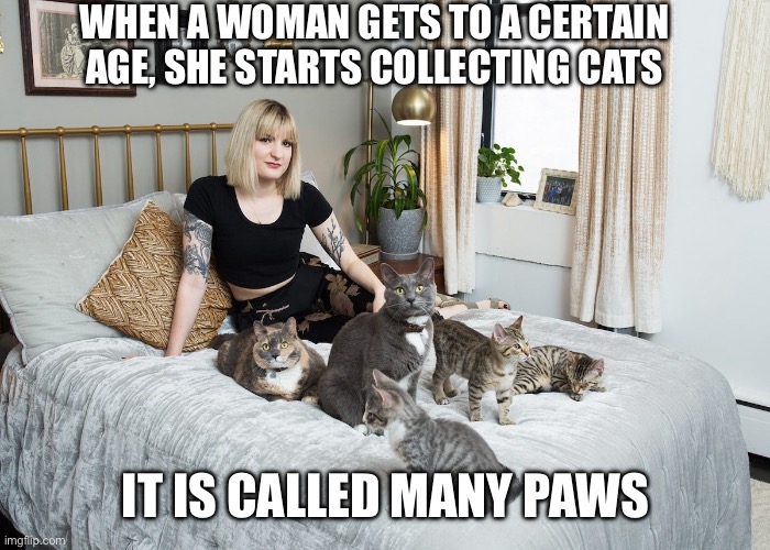 Many Paws | WHEN A WOMAN GETS TO A CERTAIN AGE, SHE STARTS COLLECTING CATS; IT IS CALLED MANY PAWS | image tagged in cats,crazy cat lady,menopause,many paws | made w/ Imgflip meme maker