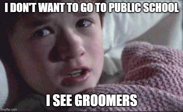 I See Dead People Meme | I DON'T WANT TO GO TO PUBLIC SCHOOL; I SEE GROOMERS | image tagged in memes,i see dead people | made w/ Imgflip meme maker