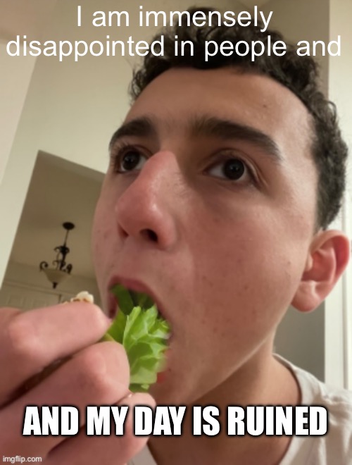 ObiWON lettuce | I am immensely disappointed in people and; AND MY DAY IS RUINED | image tagged in obiwon lettuce | made w/ Imgflip meme maker
