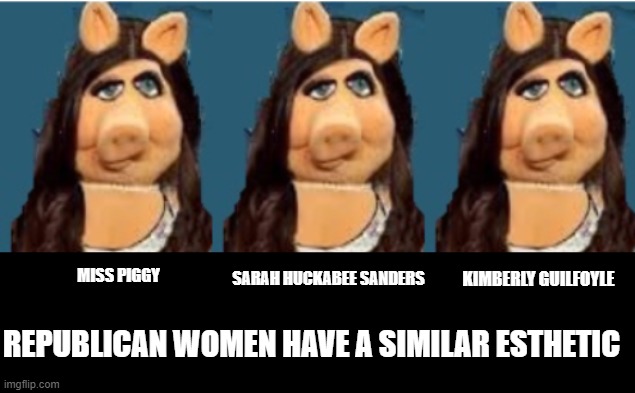 republican women | SARAH HUCKABEE SANDERS; KIMBERLY GUILFOYLE; MISS PIGGY; REPUBLICAN WOMEN HAVE A SIMILAR ESTHETIC | image tagged in miss piggy,sarah huckabee sanders,kimberly guilfoyle,republican,conservative | made w/ Imgflip meme maker