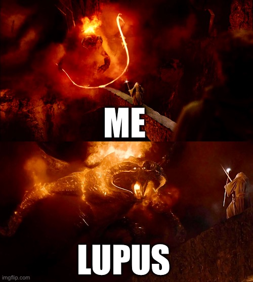 Inflammation Shall Not Pass | ME; LUPUS | image tagged in illness,pain,sick,sickness,gandalf you shall not pass | made w/ Imgflip meme maker