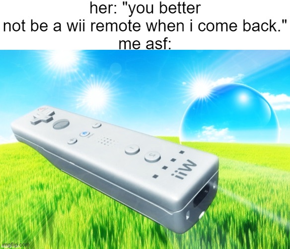 i edited this picture in lunapic. fear me | her: "you better not be a wii remote when i come back."
me asf: | made w/ Imgflip meme maker