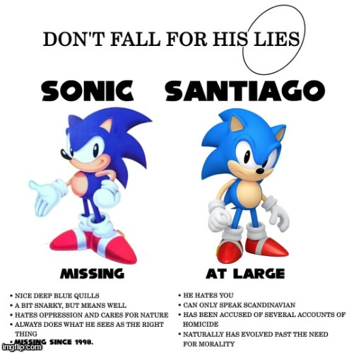 Sonic | image tagged in don't fall for his lies | made w/ Imgflip meme maker