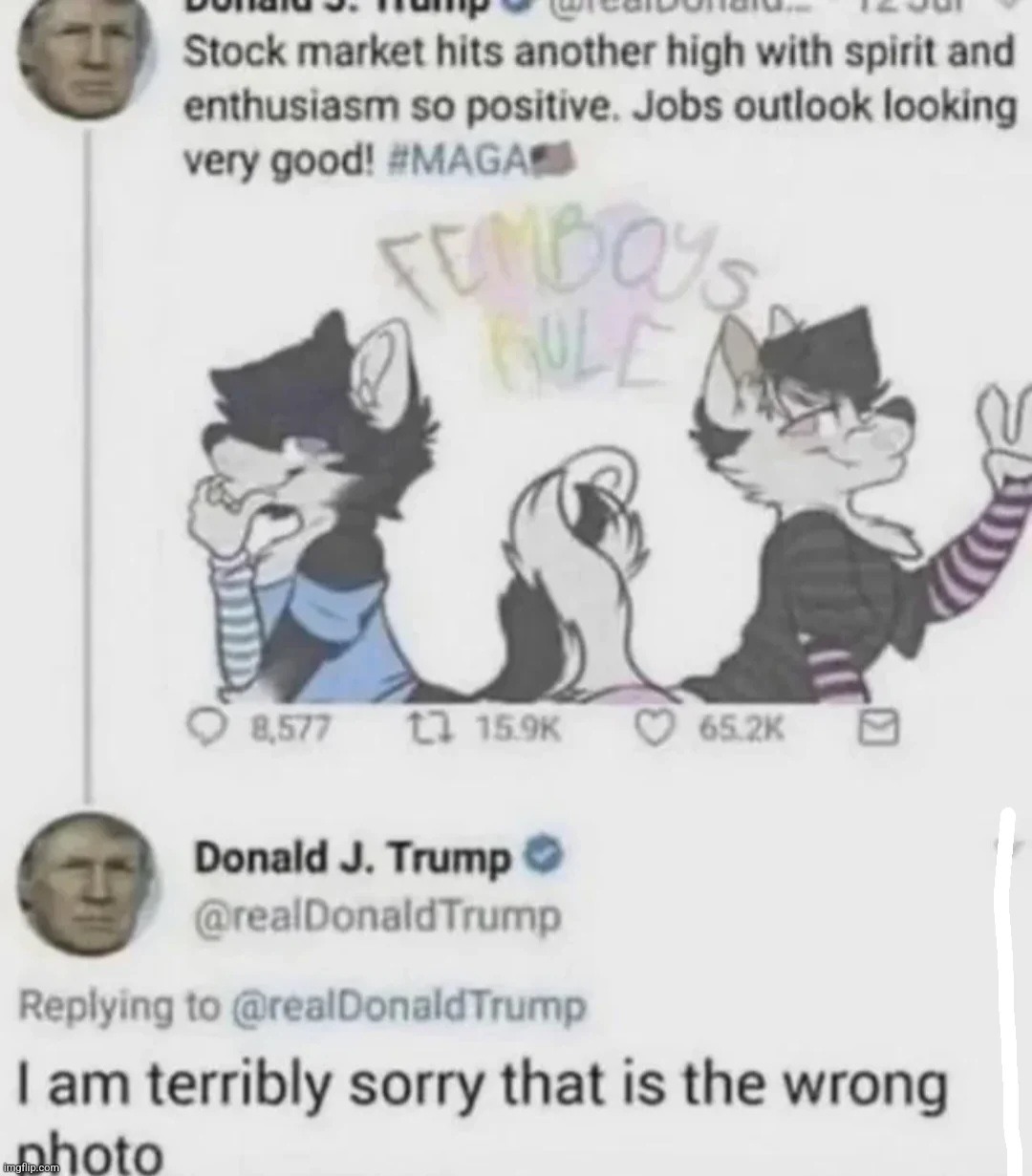 why did Donald tweet this | made w/ Imgflip meme maker