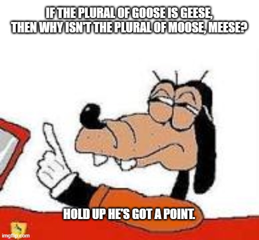 Gooby wait a sec | IF THE PLURAL OF GOOSE IS GEESE, THEN WHY ISN'T THE PLURAL OF MOOSE, MEESE? HOLD UP HE'S GOT A POINT. | image tagged in gooby wait a sec,english,funny,memes,middle school,no no hes got a point | made w/ Imgflip meme maker