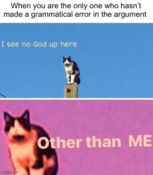 Grammatical error | When you are the only one who hasn’t made a grammatical error in the argument | image tagged in hail pole cat | made w/ Imgflip meme maker