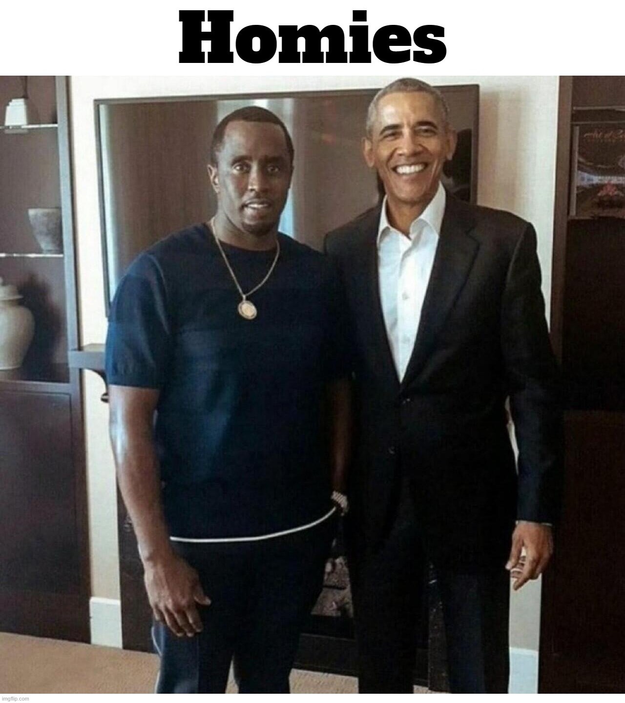 Birds of a Feather | image tagged in obama,birds of a feather,cocaine,drug addiction,human trafficking,p diddy | made w/ Imgflip meme maker