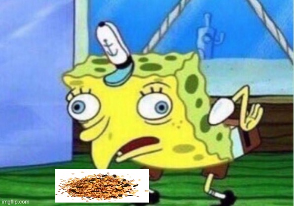 birb seed | image tagged in memes,mocking spongebob | made w/ Imgflip meme maker