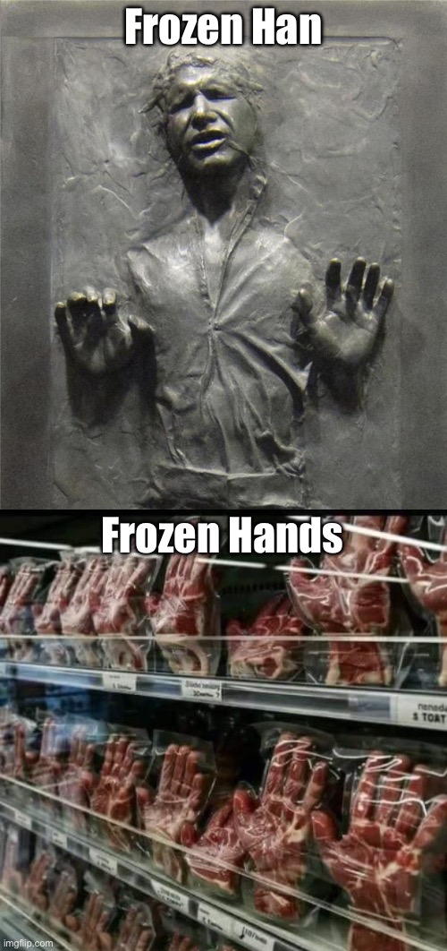 Frozen People | Frozen Han; Frozen Hands | image tagged in han solo frozen carbonite,frozen,hands | made w/ Imgflip meme maker