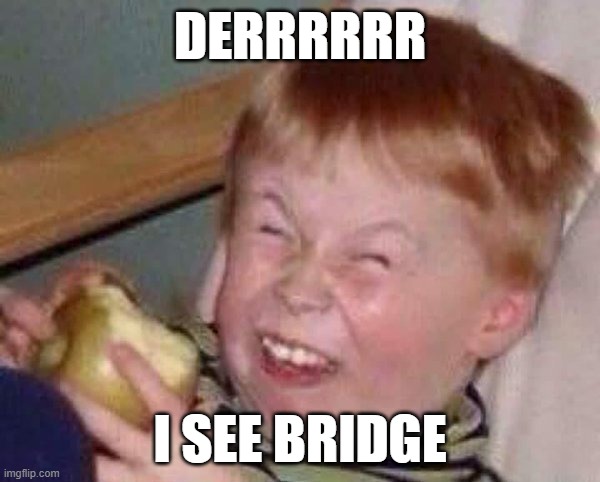 Derrr Kid eating apple | DERRRRRR; I SEE BRIDGE | image tagged in derrr kid eating apple | made w/ Imgflip meme maker