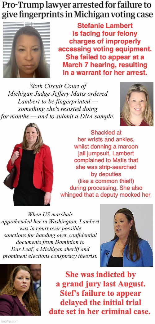 Fingerprints, DNA, Strip Searches and Shackles/What Is Happening To America? | image tagged in fugitive,corrupt,confidential info leaker,does she or doesn't she,big lie big loser big house | made w/ Imgflip meme maker