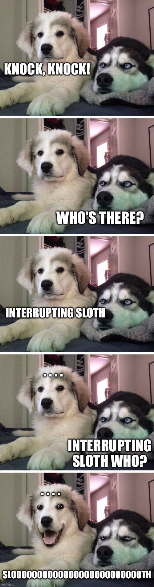 Knock Knock Dogs | KNOCK, KNOCK! WHO’S THERE? INTERRUPTING SLOTH; . . . . INTERRUPTING SLOTH WHO? . . . . SLOOOOOOOOOOOOOOOOOOOOOOOOOTH | image tagged in knock knock dogs | made w/ Imgflip meme maker