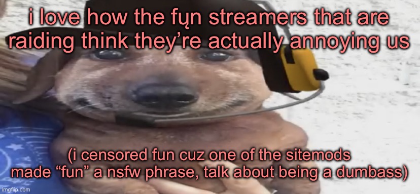 chucklenuts | i love how the fųn streamers that are raiding think they’re actually annoying us; (i censored fun cuz one of the sitemods made “fun” a nsfw phrase, talk about being a dumbass) | image tagged in chucklenuts | made w/ Imgflip meme maker