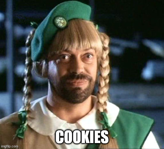 Girl scout kidnapper | COOKIES | image tagged in girl scout scam | made w/ Imgflip meme maker