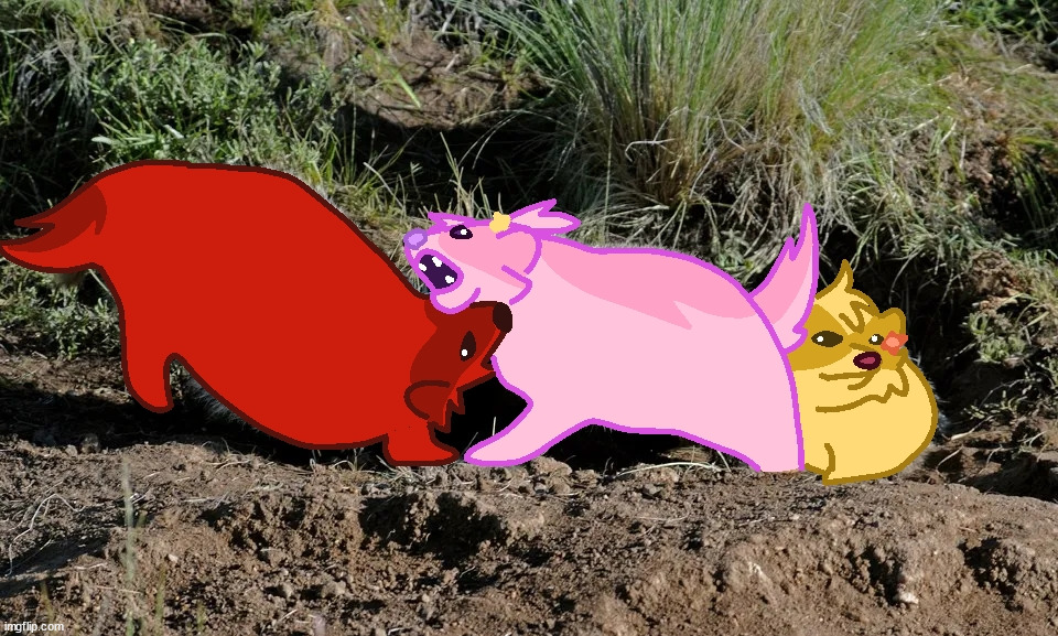 discord rq | made w/ Imgflip meme maker