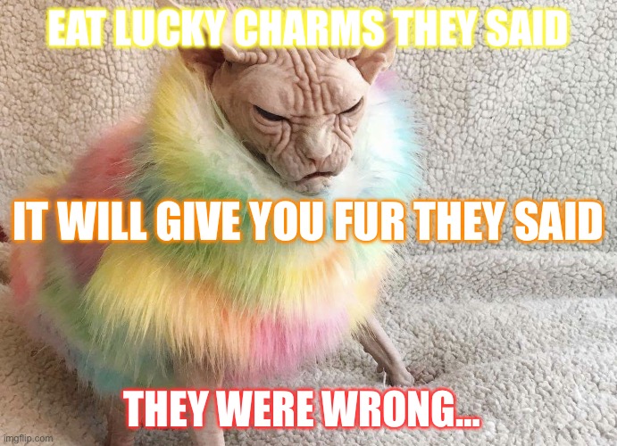 Idk what to call this… | EAT LUCKY CHARMS THEY SAID; IT WILL GIVE YOU FUR THEY SAID; THEY WERE WRONG… | image tagged in lucky charms cat,cat,funny,lucky charms,lol,slay | made w/ Imgflip meme maker