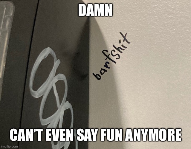 Barfshit | DAMN; CAN’T EVEN SAY FUN ANYMORE | image tagged in barfshit | made w/ Imgflip meme maker