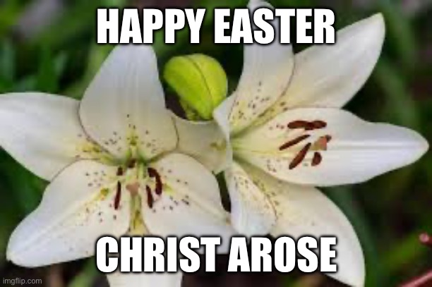 Easter | HAPPY EASTER; CHRIST AROSE | image tagged in happy easter | made w/ Imgflip meme maker