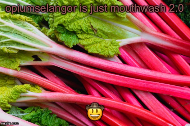 rhubarb | opiumselangor is just mouthwash 2.0; 🤠 | image tagged in rhubarb | made w/ Imgflip meme maker