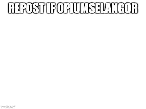 Opiumselangor | REPOST IF OPIUMSELANGOR | image tagged in repost | made w/ Imgflip meme maker