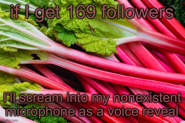 rhubarb | if I get 169 followers; I’ll scream into my nonexistent microphone as a voice reveal | image tagged in rhubarb | made w/ Imgflip meme maker