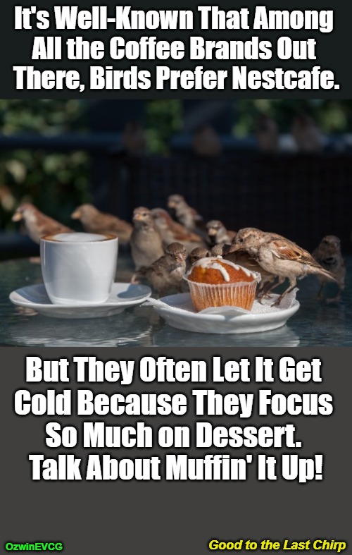 Good to the Last Chirp | It's Well-Known That Among 

All the Coffee Brands Out 

There, Birds Prefer Nestcafe. But They Often Let It Get 

Cold Because They Focus 

So Much on Dessert. 

Talk About Muffin' It Up! Good to the Last Chirp; OzwinEVCG | image tagged in birds,coffee,desserts,cafes,decisions,dining | made w/ Imgflip meme maker