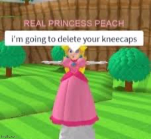 Delete your kneecaps | image tagged in delete your kneecaps | made w/ Imgflip meme maker
