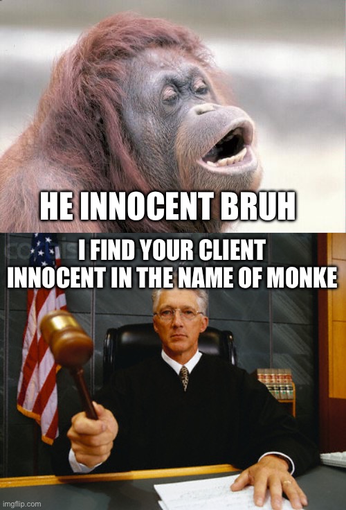 I FIND YOUR CLIENT INNOCENT IN THE NAME OF MONKE HE INNOCENT BRUH | image tagged in memes,monkey ooh,judge | made w/ Imgflip meme maker