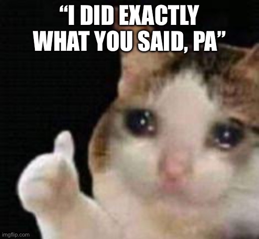 Approved crying cat | “I DID EXACTLY WHAT YOU SAID, PA” | image tagged in approved crying cat | made w/ Imgflip meme maker