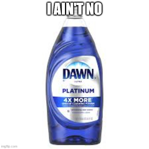 dawn platinum the world | I AIN'T NO | image tagged in dawn platinum the world | made w/ Imgflip meme maker