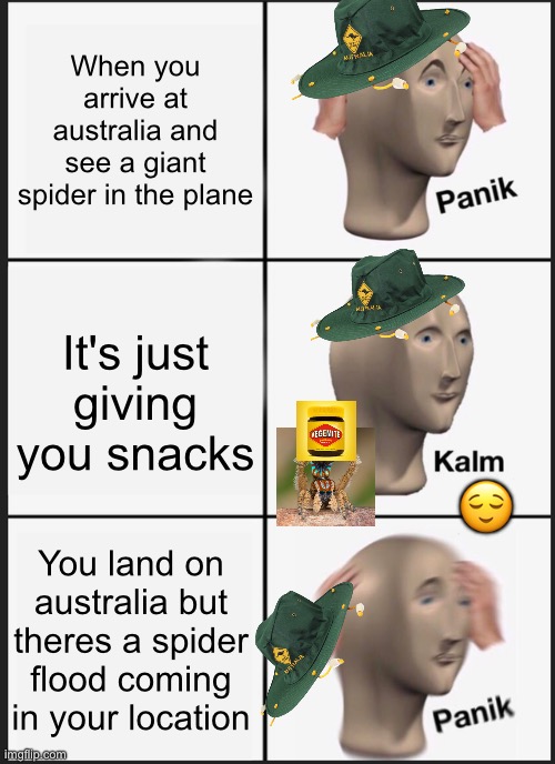 We come from the land down under!!! | When you arrive at australia and see a giant spider in the plane; It's just giving you snacks; 😌; You land on australia but theres a spider flood coming in your location | image tagged in memes,panik kalm panik,spider,aussie,australia | made w/ Imgflip meme maker