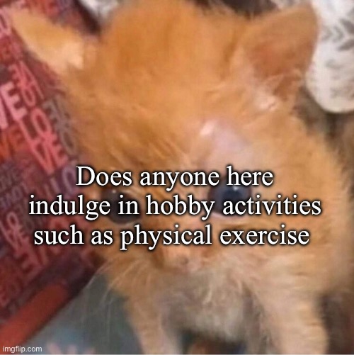 skrunkly | Does anyone here indulge in hobby activities such as physical exercise | image tagged in skrunkly | made w/ Imgflip meme maker