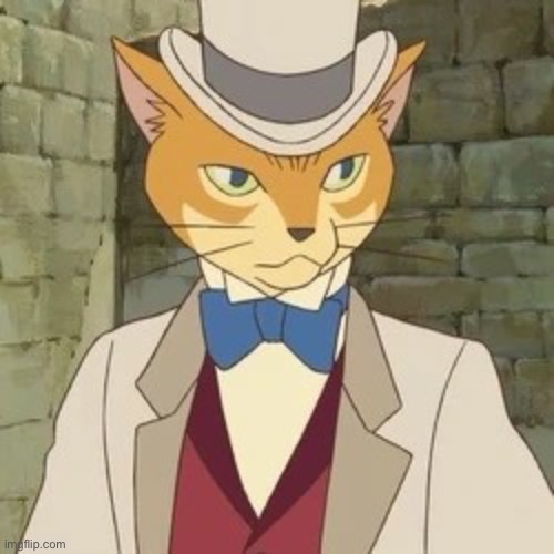 cat man | image tagged in cat man | made w/ Imgflip meme maker