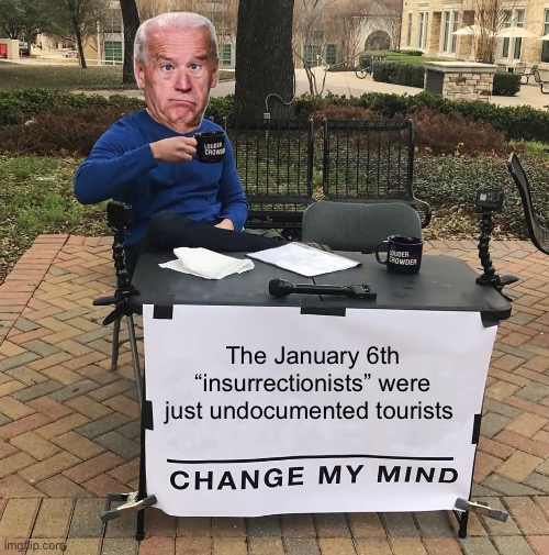 Biden should apologize to them | The January 6th “insurrectionists” were just undocumented tourists | image tagged in change my mind,politics lol,memes | made w/ Imgflip meme maker