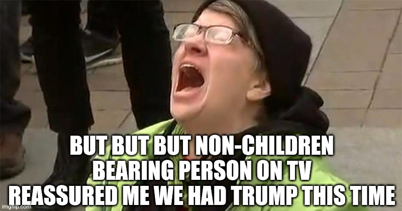 crying liberal | BUT BUT BUT NON-CHILDREN BEARING PERSON ON TV REASSURED ME WE HAD TRUMP THIS TIME | image tagged in crying liberal | made w/ Imgflip meme maker