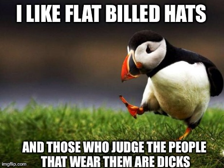 Unpopular Opinion Puffin Meme | I LIKE FLAT BILLED HATS AND THOSE WHO JUDGE THE PEOPLE THAT WEAR THEM ARE DICKS | image tagged in memes,unpopular opinion puffin | made w/ Imgflip meme maker