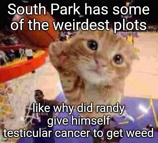 ballin cat | South Park has some of the weirdest plots; like why did randy give himself testicular cancer to get weed | image tagged in ballin cat | made w/ Imgflip meme maker