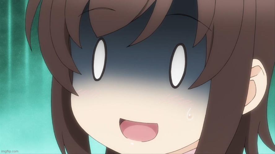 Shocked Anime girl  | image tagged in shocked anime girl | made w/ Imgflip meme maker