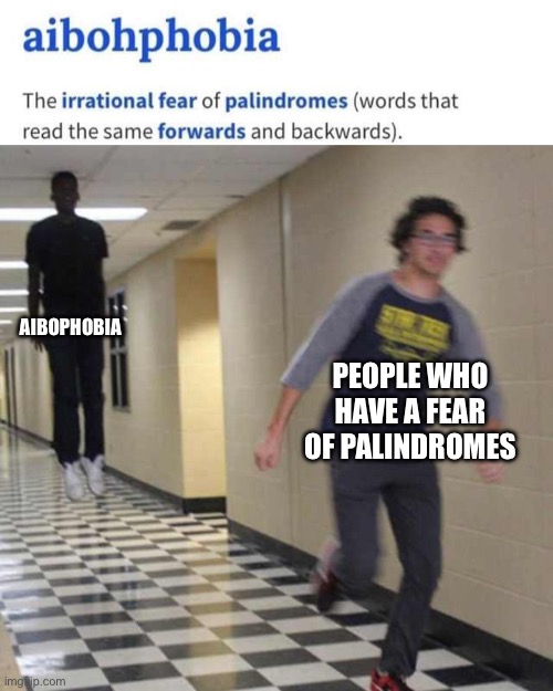 Aibophobia | AIBOPHOBIA; PEOPLE WHO HAVE A FEAR OF PALINDROMES | image tagged in floating boy chasing running boy,palindrome,fear | made w/ Imgflip meme maker