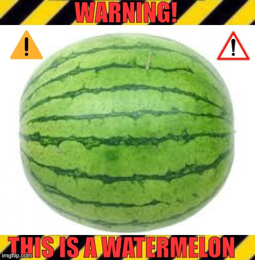 WARNING! THIS IS A WATERMELON | image tagged in _____ line | made w/ Imgflip meme maker