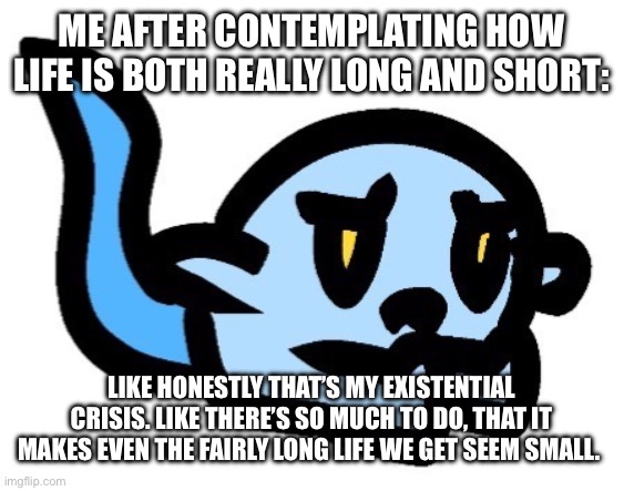 Anyways, my cat smells like paper, not sure if that’s normal. | ME AFTER CONTEMPLATING HOW LIFE IS BOTH REALLY LONG AND SHORT:; LIKE HONESTLY THAT’S MY EXISTENTIAL CRISIS. LIKE THERE’S SO MUCH TO DO, THAT IT MAKES EVEN THE FAIRLY LONG LIFE WE GET SEEM SMALL. | image tagged in upset hoplash | made w/ Imgflip meme maker