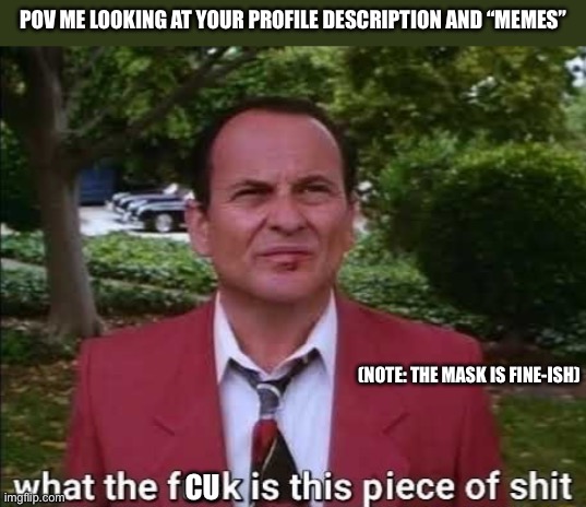 POV ME LOOKING AT YOUR PROFILE DESCRIPTION AND “MEMES” CU (NOTE: THE MASK IS FINE-ISH) | made w/ Imgflip meme maker