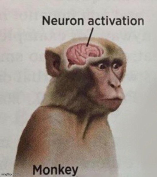 Neuron Activation Monkey | image tagged in neuron activation monkey | made w/ Imgflip meme maker
