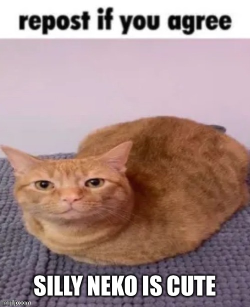 repost if you agree | SILLY NEKO IS CUTE | image tagged in repost if you agree | made w/ Imgflip meme maker