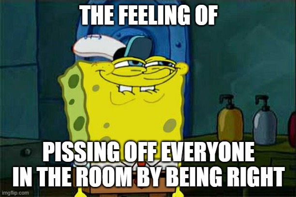 THE FEELING OF PISSING OFF EVERYONE IN THE ROOM BY BEING RIGHT | image tagged in memes,don't you squidward | made w/ Imgflip meme maker